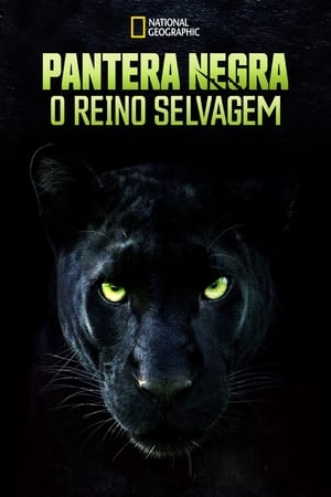 Assistir Pantera Negra: O Reino Selvagem Online Grátis