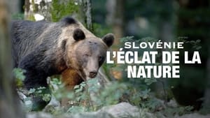 Slovénie - L’éclat de la nature