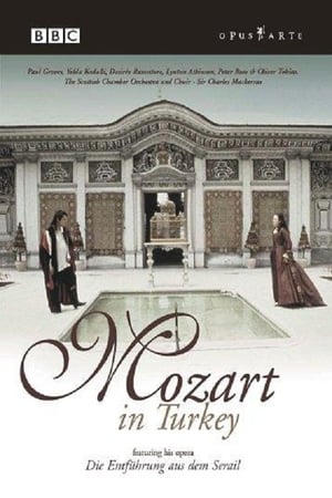 Image Mozart in Turkey