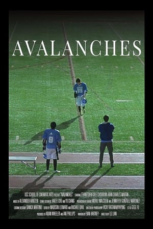 Poster Avalanches (2022)