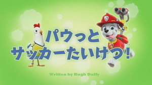パウっとサッカーたいけつ！