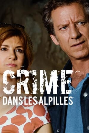 Poster Crime dans les Alpilles 2017