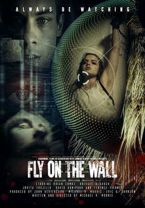 Image Fly on the Wall
