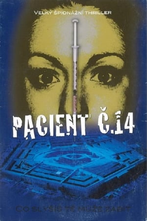Poster Pacient č. 14 2004