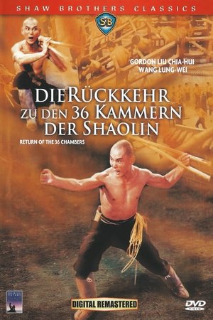 Image Die Rückkehr zu den 36 Kammern der Shaolin