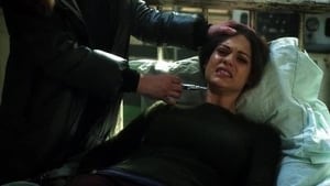 Nikita: Season 3 Episode 14