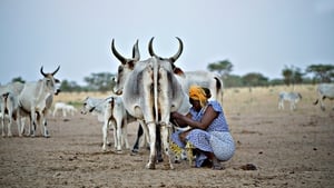 La planète lait