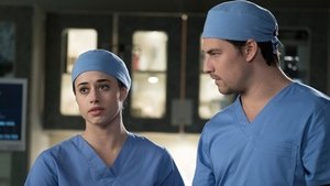 Grey’s Anatomy: Stagione 14 – Episodio 19