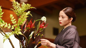 Episódio 8 - Born to be a Flower