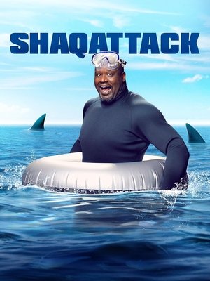 Image ShaqAttack