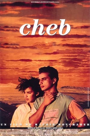 Poster Cheb 1991