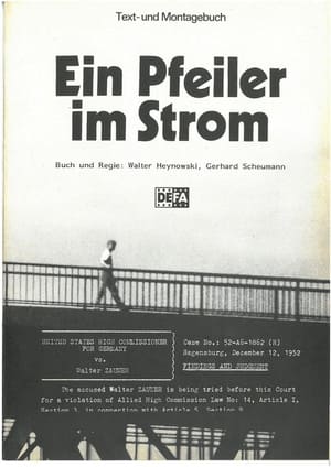 Image Ein Pfeiler im Strom