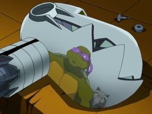 Teenage Mutant Ninja Turtles: 1×2