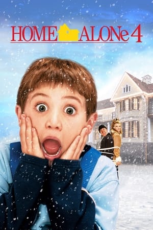 Poster Home Alone 4 (2002)