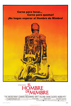 Poster El Hombre De Mimbre 1973