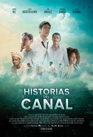 Poster Historias del Canal 2014