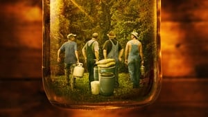 Moonshiners film complet