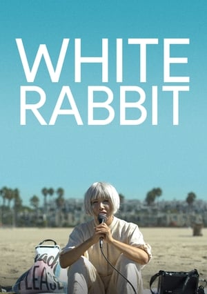 Poster White Rabbit (2018)