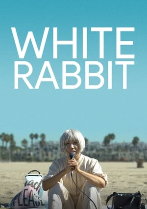 Poster White Rabbit 2018
