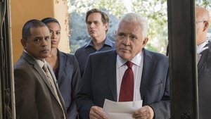 Major Crimes: 4×17