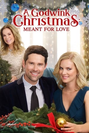 Poster A Godwink Christmas: Meant For Love 2019