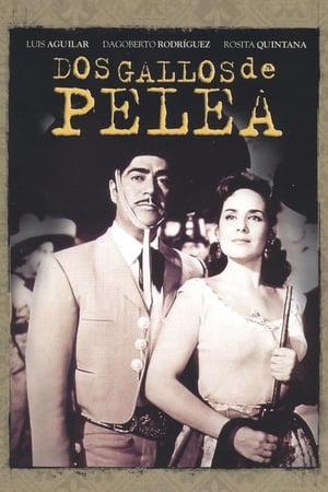 Dos gallos de pelea poster