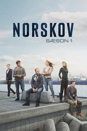 Norskov, dans le secret des glaces: Saison 1