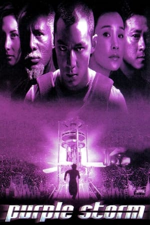 Poster 紫雨风暴 1999