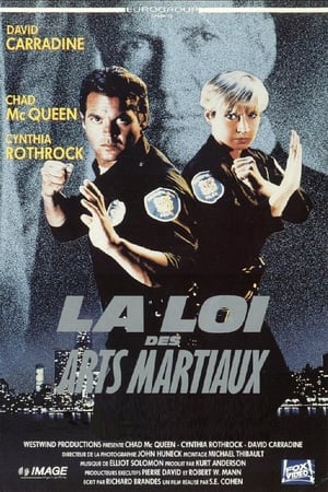 Poster La Loi à mains nues 1990