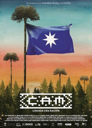 Nonton film CAM: Liberated a nation (2021) terbaru sub indo Nonton film CAM: Liberated a nation (2021) terbaru sub indo