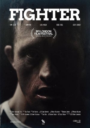 Poster Fighter (2017)