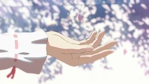 5 Centimeters per Second ( 2007 )