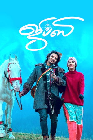 Gypsy 11