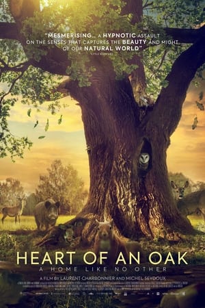 Poster Heart of an Oak (2022)