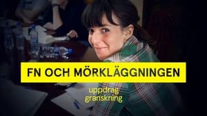 Image FN och mörkläggningen: Domen