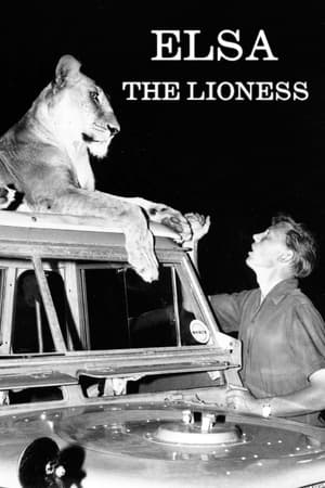 Poster Elsa the Lioness 1961