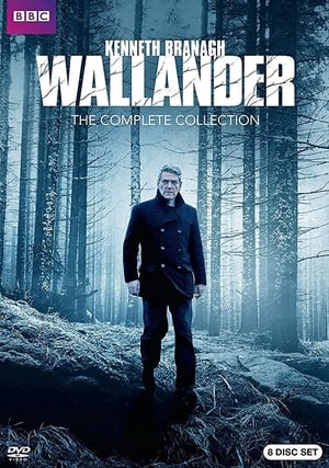 Wallander: The White Lioness poster