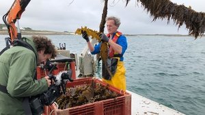 42 – The Answer to Almost Everything: 1×20