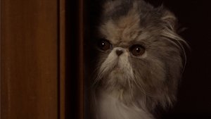Crims: 3×7 {year} Online En Netflix