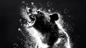 Crazy Bear film complet