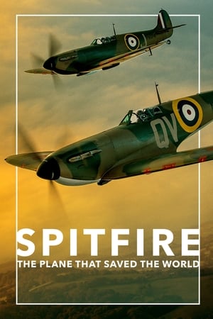Poster Spitfire 2018