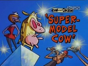 Supermodel Cow