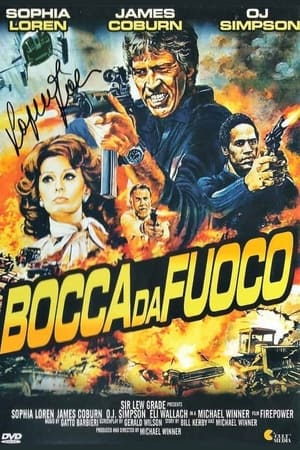 Poster di Bocca da fuoco