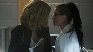 Orphan Black: Stagione 1 x Episodio 9