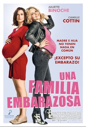 Poster Una familia embarazosa 2017