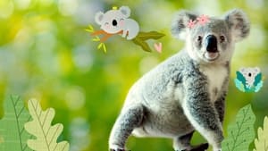 poster Izzy's Koala World