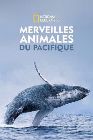 Image Merveilles animales du Pacifique