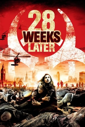 28 Weeks Later: 28 Seconds Later film complet