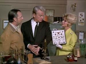 Green Acres The Special Delivery Letter