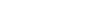Wild Ambition Bloom — Logos 1